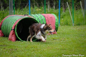 Anteros_Erststart_Wiental_20160505_2