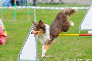 Arrow_OEGV_Cup_20160417