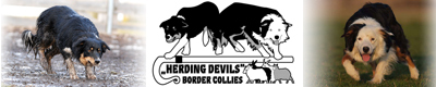 Zuchtstätte Herding Devils BC