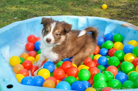 Amazing Joy Bällebad