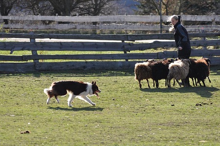 Arun Ashkii Hüten 2