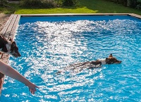 Arun Pool