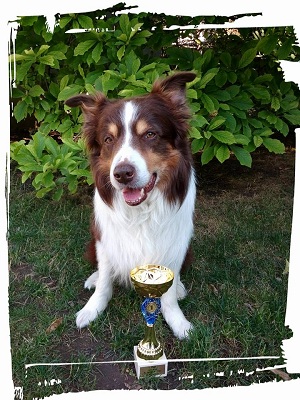 KY 1. Platz JM Königstätten 2015