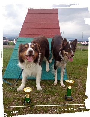 KY + Atanua ÖGV Cup Ost 2016